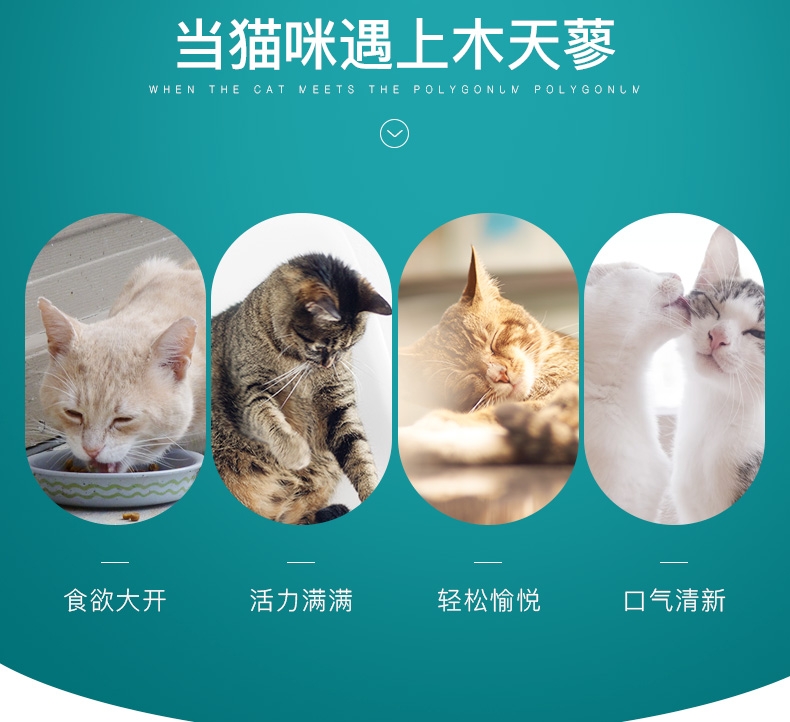 怡亲Yoken 木天蓼磨牙洁齿清新口气猫零食玩具 5只装