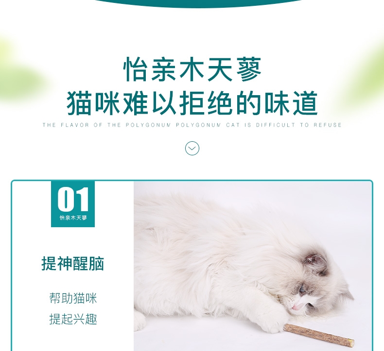 怡亲Yoken 木天蓼磨牙洁齿清新口气猫零食玩具 5只装