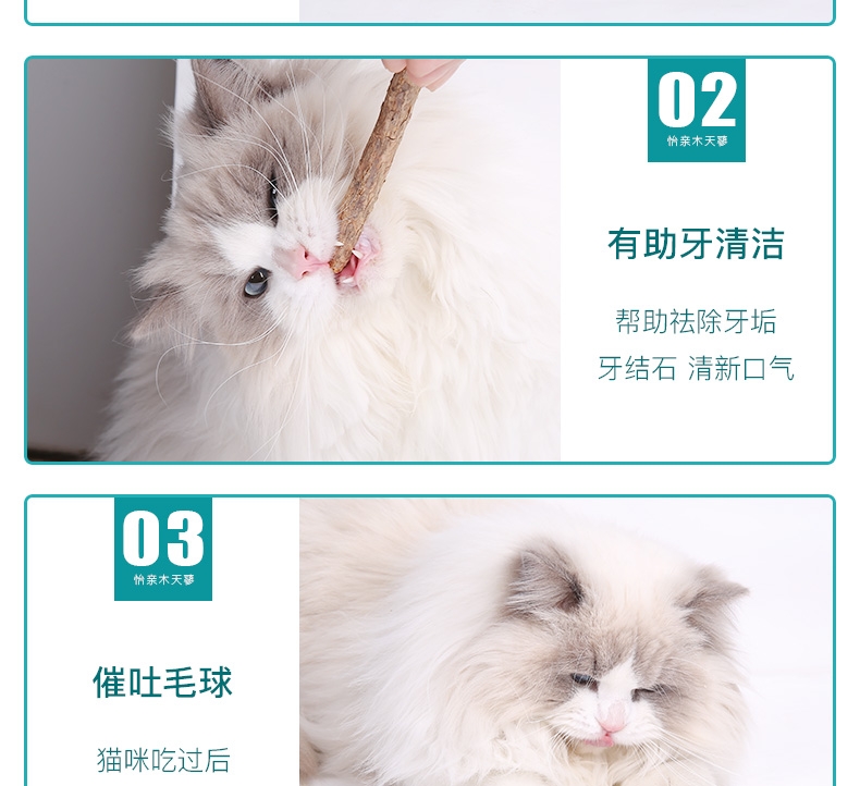 怡亲Yoken 木天蓼磨牙洁齿清新口气猫零食玩具 5只装