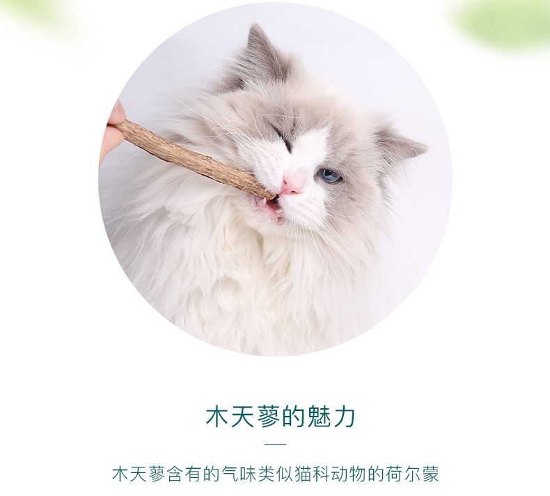 怡亲Yoken 木天蓼磨牙洁齿清新口气猫零食玩具 5只装