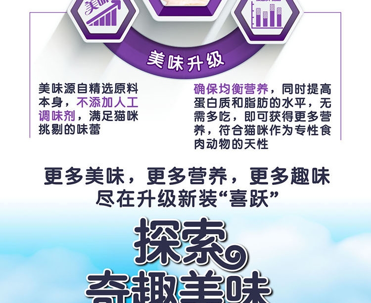喜跃 成猫粮肉和海洋鱼味全价猫粮10kg
