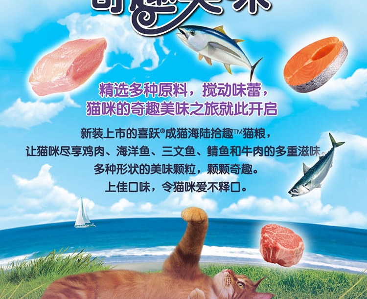 喜跃 成猫粮肉和海洋鱼味全价猫粮10kg