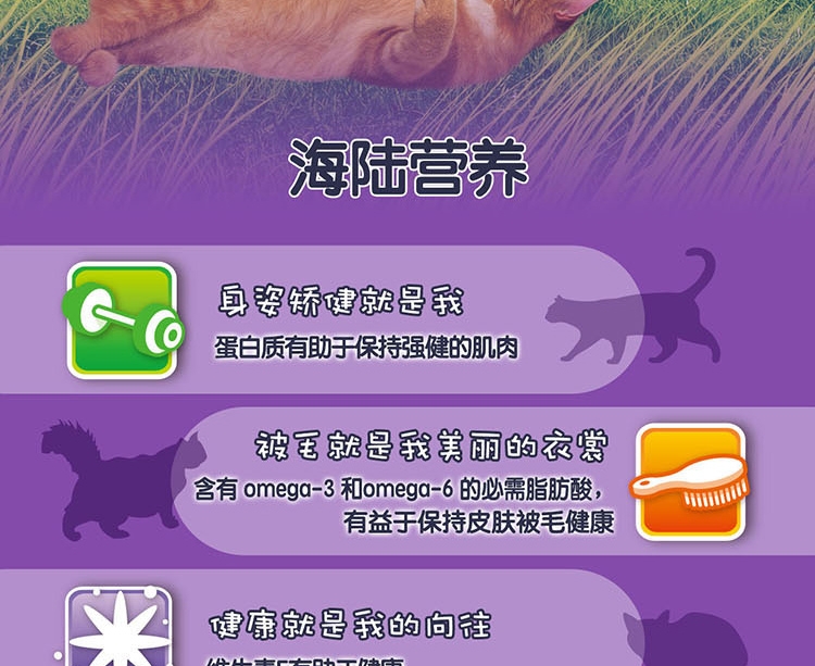 喜跃 成猫粮肉和海洋鱼味全价猫粮10kg