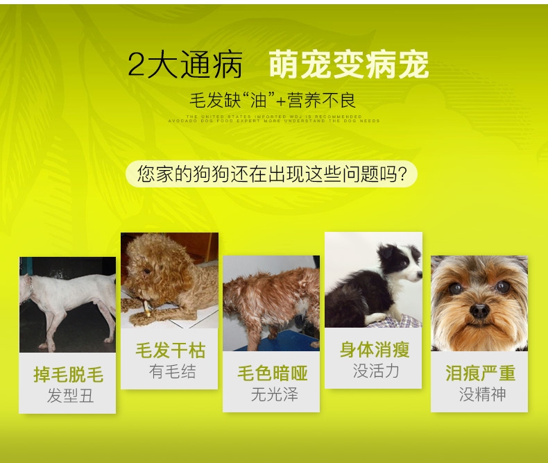 牛油果Avoderm 成犬粮鸡肉糙米配方狗粮 30磅/13.6kg
