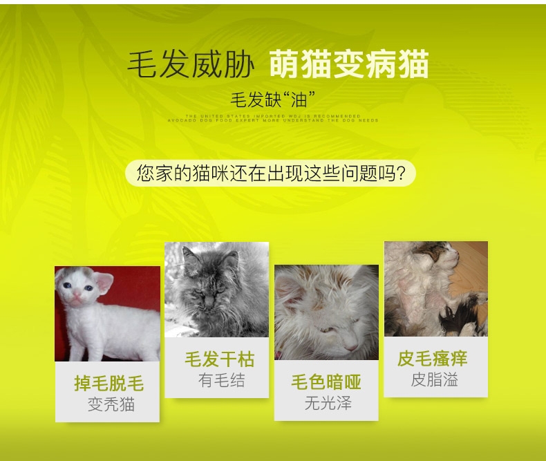 牛油果Avoderm 幼猫粮鸡肉鲱鱼配方猫粮 3.5磅/1.58kg
