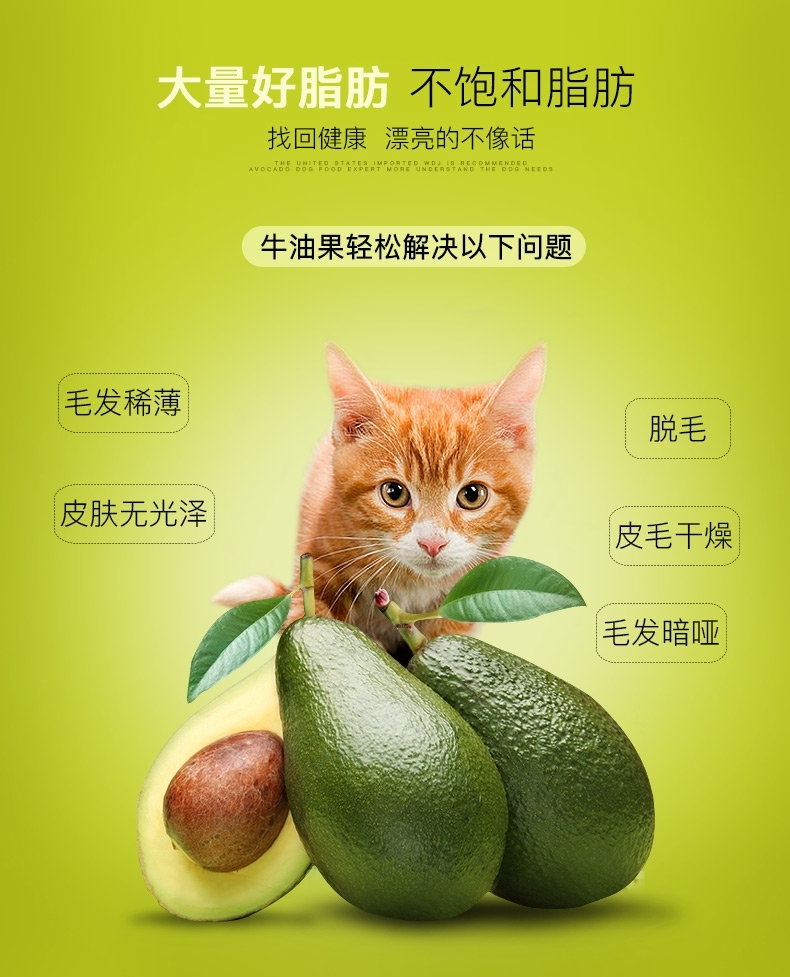 牛油果Avoderm鸡肉鲱鱼成猫粮11磅/4.99kg【保质期至2019年5月20日】