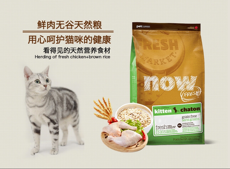NOW FRESH 无谷配方幼猫粮8磅
