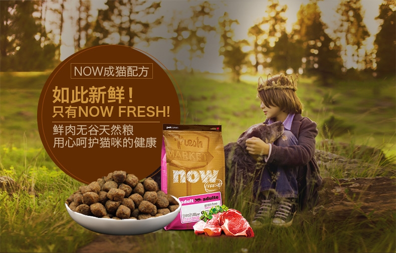 NOW FRESH 无谷配方成猫粮8磅