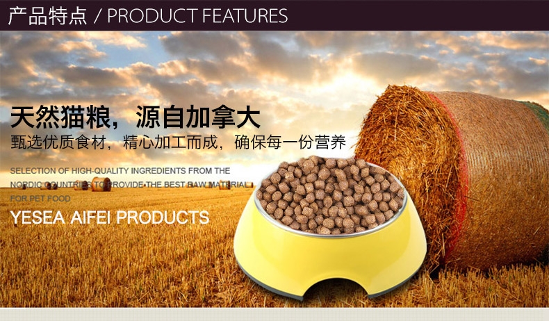 NOW FRESH 无谷配方成猫粮8磅