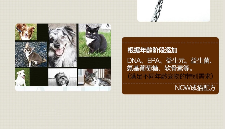 NOW FRESH 无谷配方成猫粮8磅