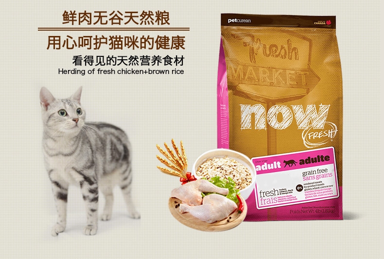 NOW FRESH 无谷配方成猫粮8磅