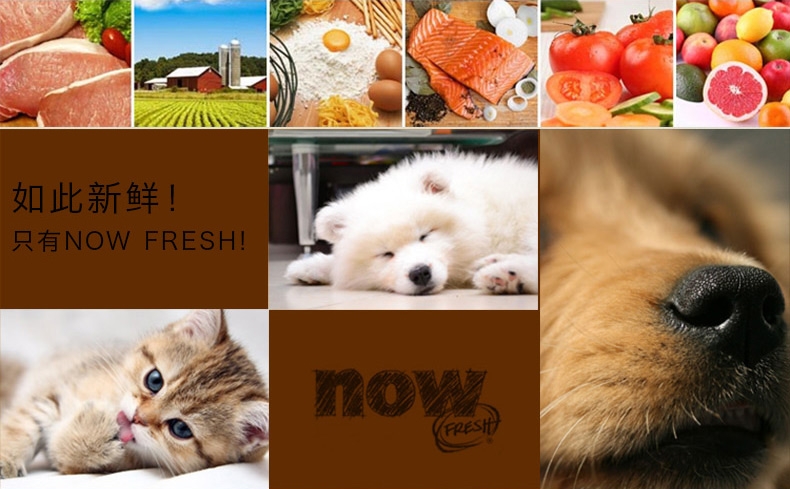 NOW FRESH 无谷配方成猫粮8磅