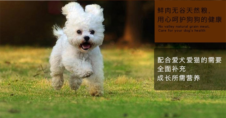 NOW FRESH 无谷配方成猫粮8磅