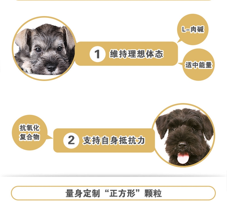 法国皇家ROYAL CANIN 迷你雪纳瑞幼犬粮 1.5kg