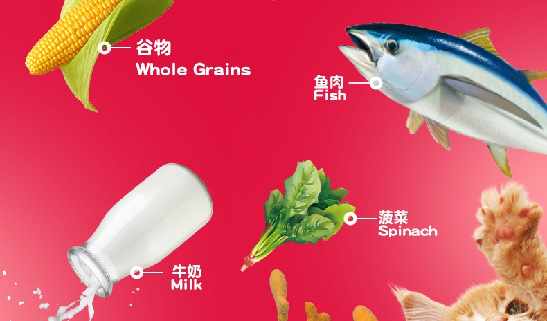 喜跃 幼猫粮鸡肉鱼肉牛奶和菠菜味全价猫粮1.2kg