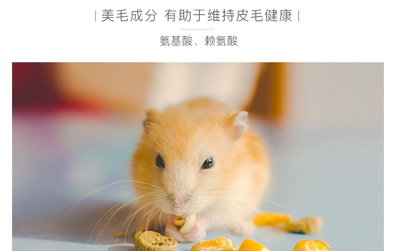 哈姆小宠仓鼠粮食2LB金丝熊仓鼠粮主粮五谷配方仓鼠饲料综合粮908g