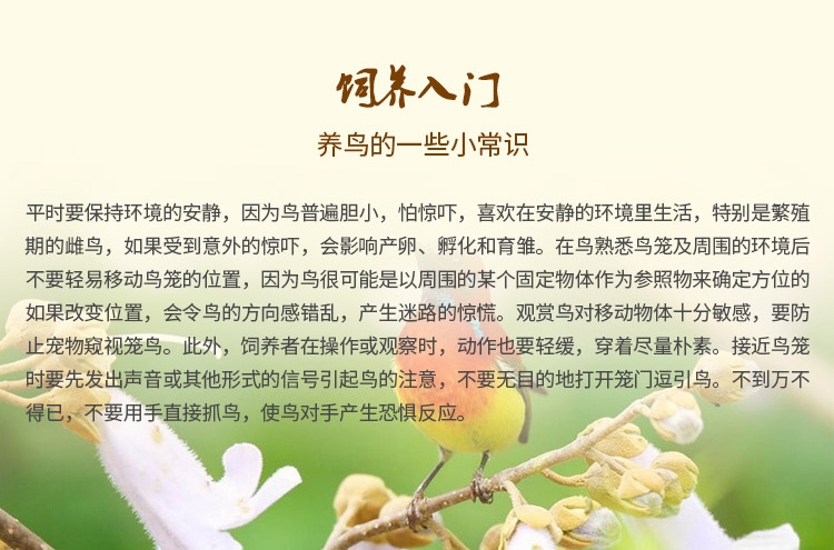 哈姆小宠 中小型鹦鹉粮虎皮鹦鹉牡丹鹦鹉饲料含小型鹦鹉滋养丸454g