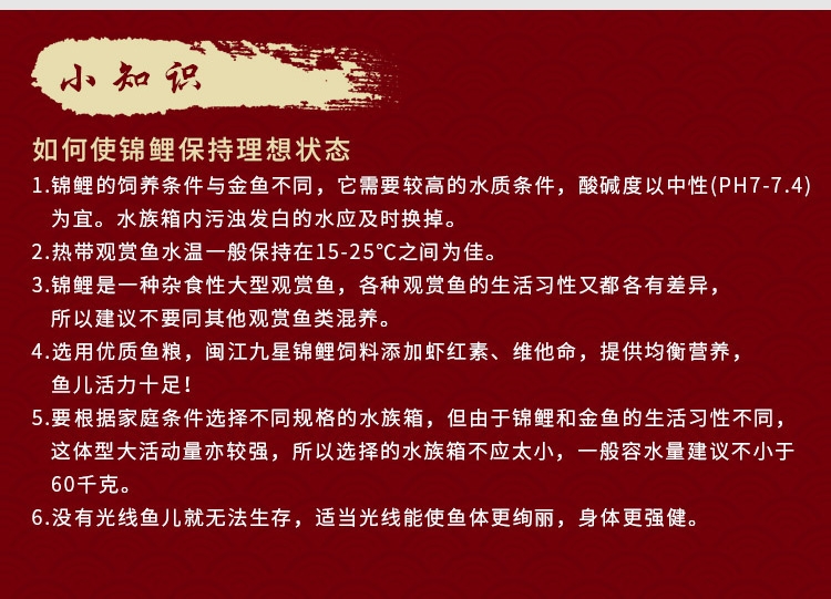 鱼食锦鲤饲料 锦跃色扬螺旋藻增艳育成观赏鱼粮金鱼饲料金鱼鱼食