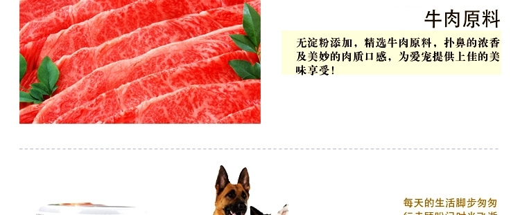 爱丽思Iris 牛肉味狗罐头湿粮 100g*12罐