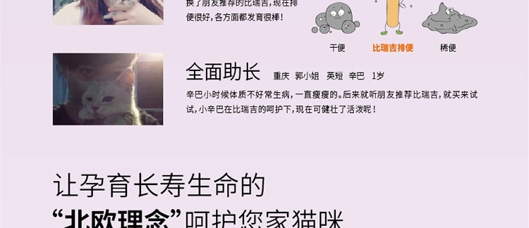 比瑞吉 益生元幼猫奶糕罐头 156g*12罐
