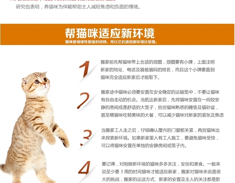 麦德琳M'Daryn 喵乐鲜虾猫罐头 80g*12
