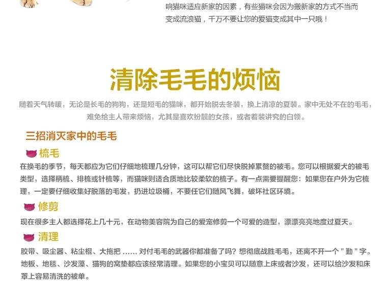 麦德琳M'Daryn 喵乐鲜虾猫罐头 80g*12