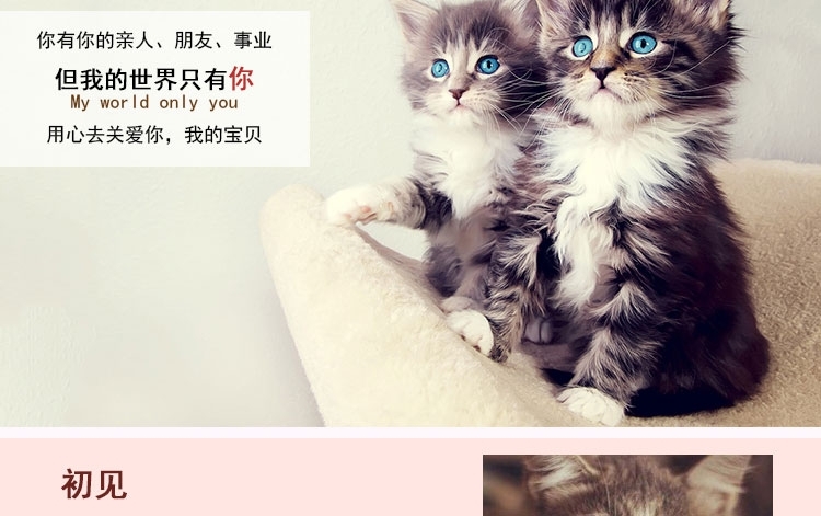 伊纳宝 妙好金枪鱼味烤鸡胸肉1只*12包 猫零食