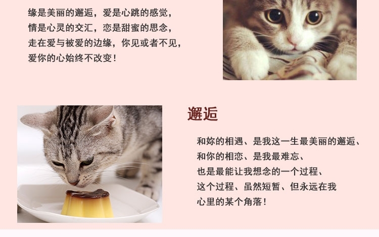 伊纳宝 妙好金枪鱼味烤鸡胸肉1只*12包 猫零食