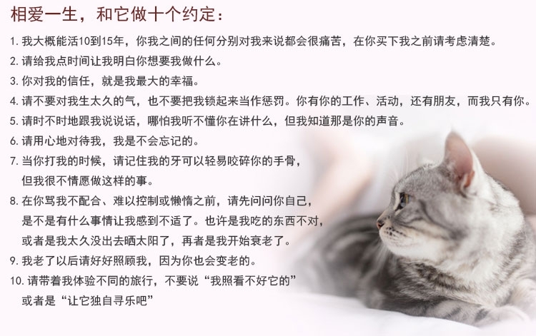 伊纳宝 妙好金枪鱼味烤鸡胸肉1只*12包 猫零食
