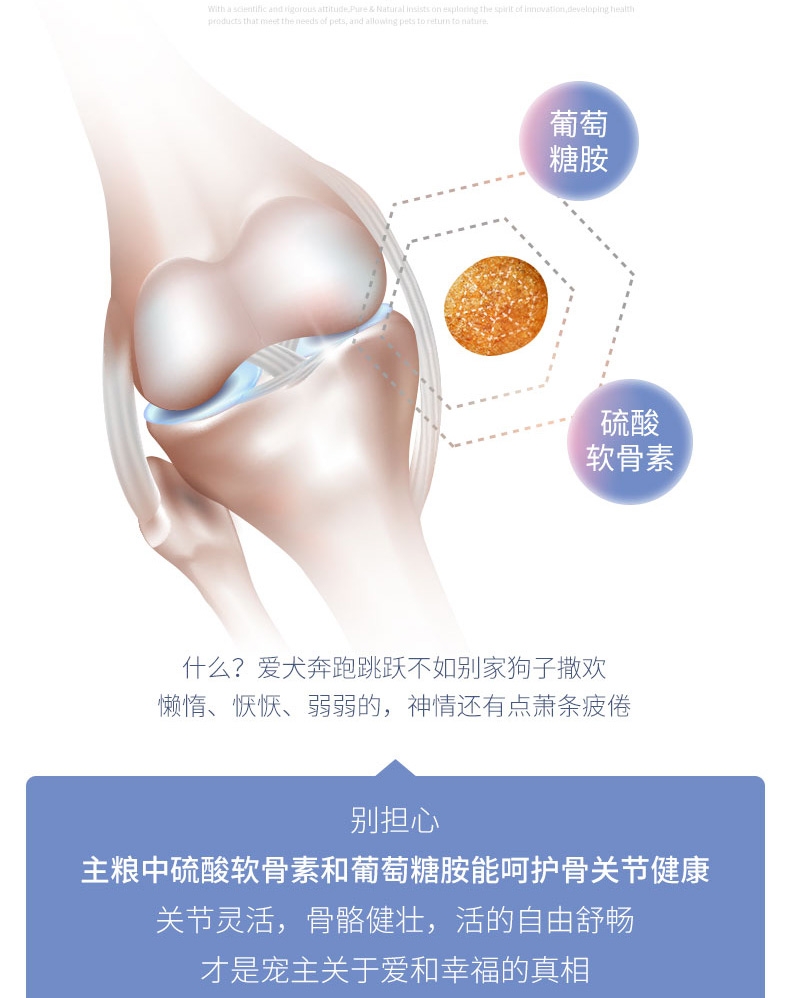 伯纳天纯 无谷羊肉燕麦蔓越莓中大型成犬粮 15kg