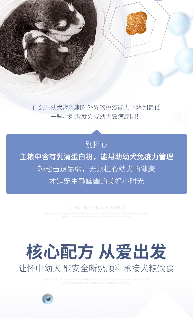 伯纳天纯 羊肉马铃薯蓝莓无谷全犬种幼犬奶糕粮 10kg