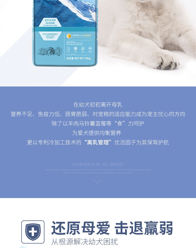 伯纳天纯 羊肉马铃薯蓝莓无谷全犬种幼犬奶糕粮 10kg