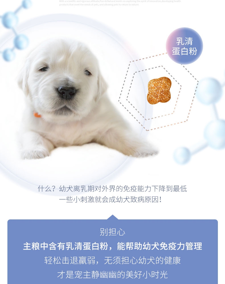 伯纳天纯 羊肉马铃薯蓝莓无谷全犬种幼犬奶糕粮 10kg