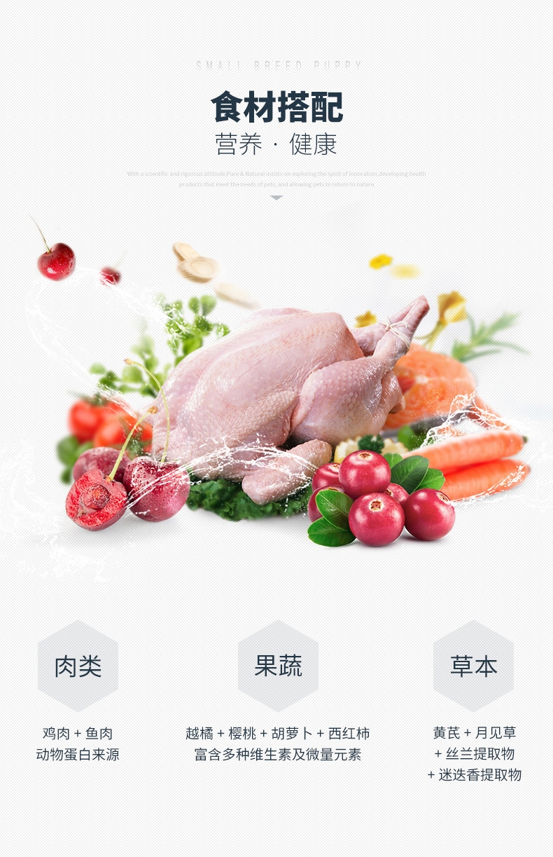 伯纳天纯 鸡肉樱桃小型犬幼犬粮 10kg