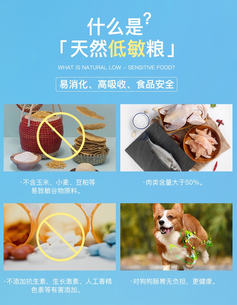 伯纳天纯 鸡肉樱桃小型成犬粮 10kg【预售】预计2月29日发货