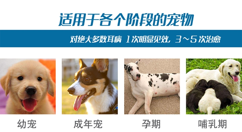 耳康 犬猫止痒滴耳液 25ml/瓶 驱虫除螨杀菌止痒.