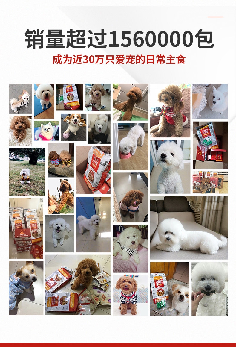 麦富迪 牛肉双拼粮小型犬成犬粮 2kg