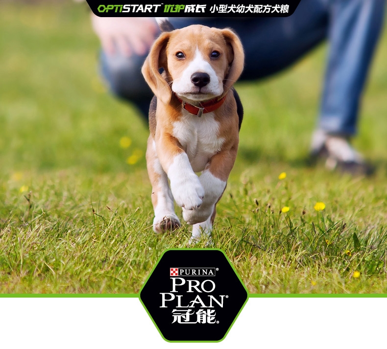 冠能PRO PLAN 小型犬幼犬全价狗粮2.5kg