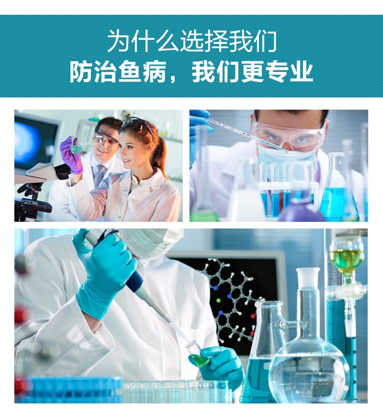 仟湖傲深OF麦特贝热带鱼龙鱼消化益菌鱼缸硝化细菌
