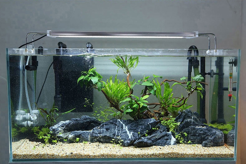 森森缸外过滤器壁挂式鱼缸过滤桶水族箱外置静音(送滤材过滤棉)HBL-802