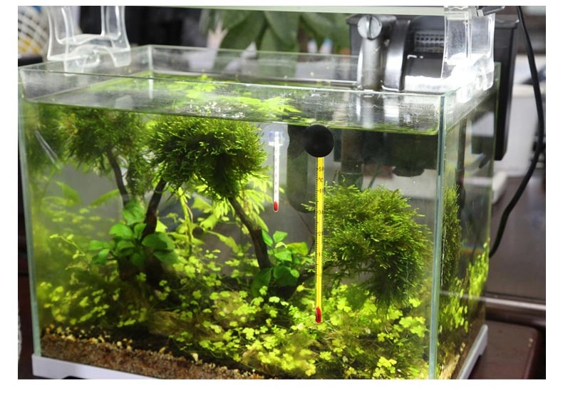 森森水族鱼缸温度计 高精度水族潜水温度计 WDJ-03常规温度计
