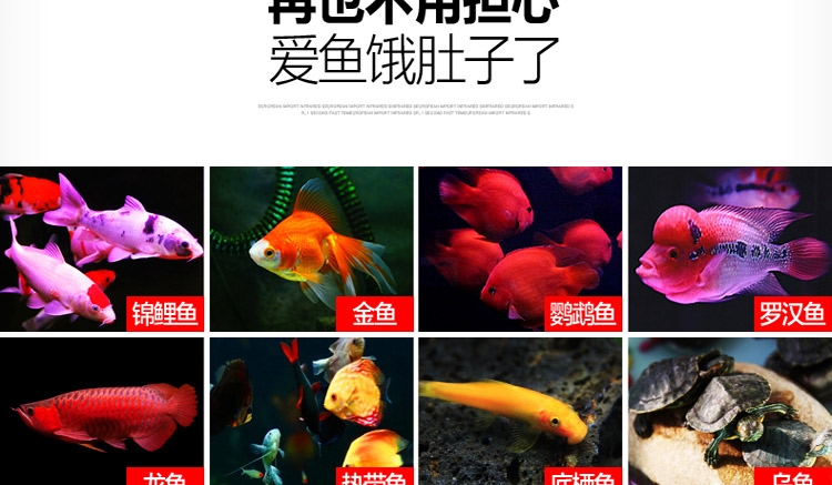 吉印定时自动喂食器