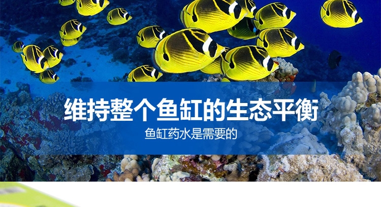 吉印硝化菌/净水剂/水质稳定剂/125ml