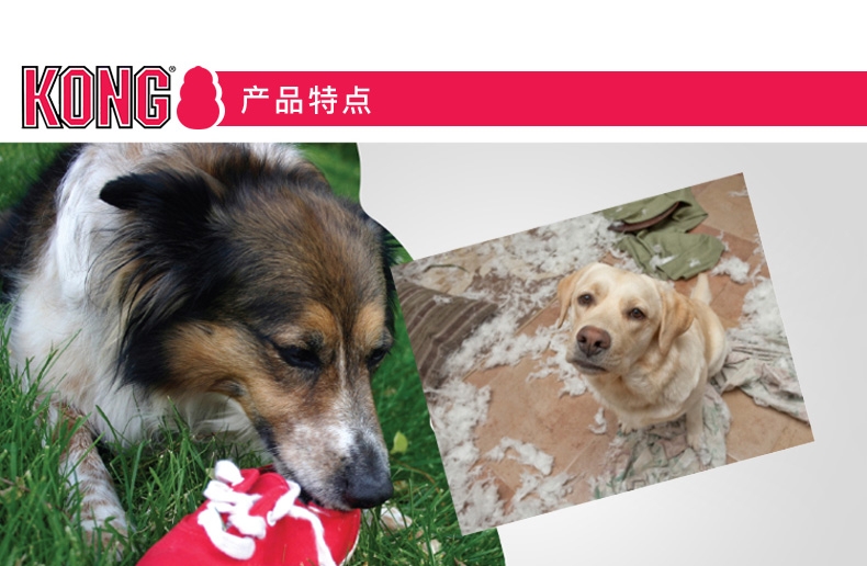 美国KONG 幼犬带绳花色磨牙哑铃骨狗狗玩具 天然橡胶 磨牙洁齿