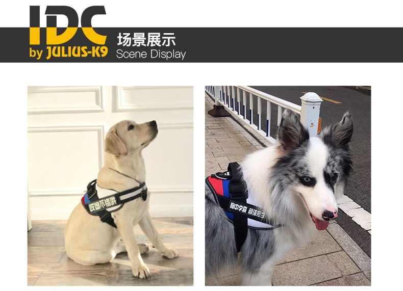 Julius K9 魔术贴个性化定制 狗狗宠物胸背定制字