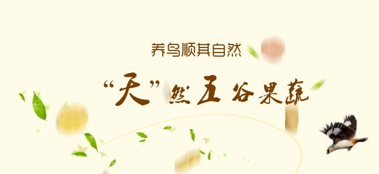 哈姆小宠鹦鹉粮饲料 和尚/太阳鹦鹉粮精品牡丹玄凤粮454g