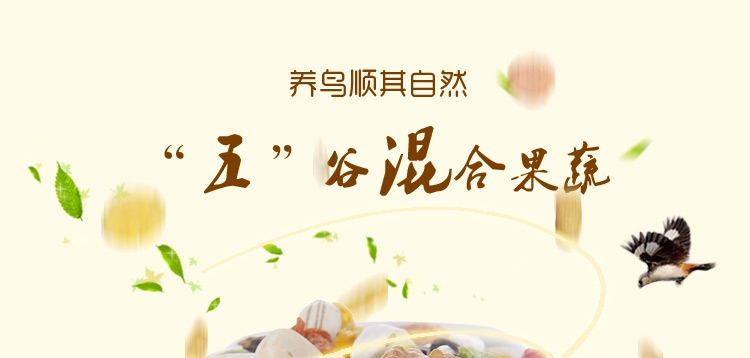 哈姆小宠中大型金刚亚历山大灰鹦鹉营养主粮 营养粮454g