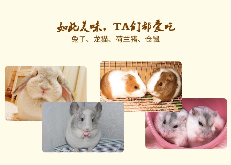 哈姆小宠中大型金刚亚历山大灰鹦鹉营养主粮 营养粮454g