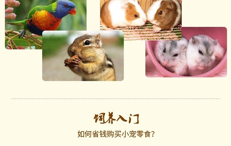 豚鼠仓鼠金丝熊兔子零食 混粮主粮伴侣纯生小油葵100g