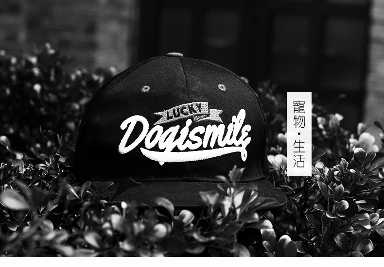 Dogismile 时尚生活风宠物自背包 多色可选